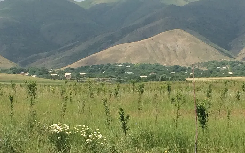 Կեռասի փառատոն