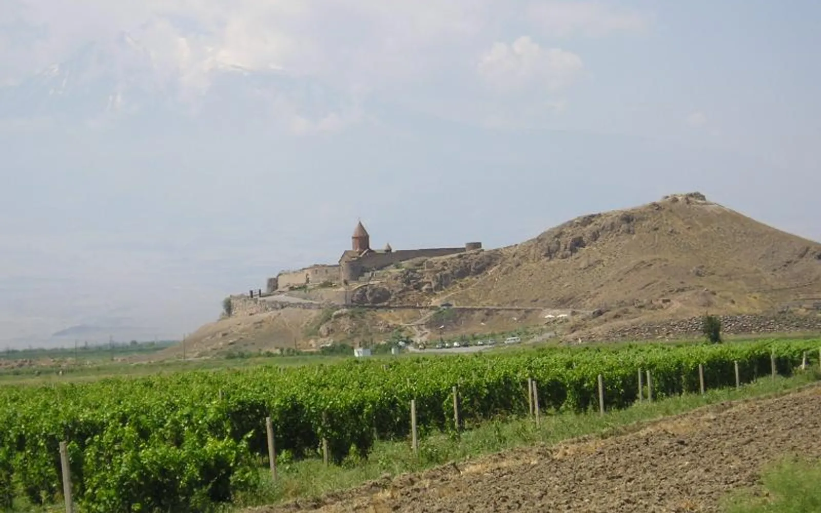 Դիլիջանի գինու փառատոն — Տավուշ