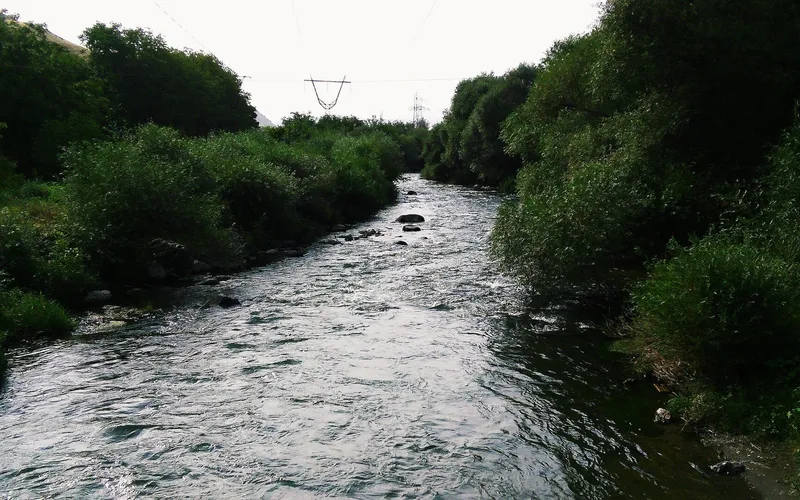 Մալիշկա — фото 2