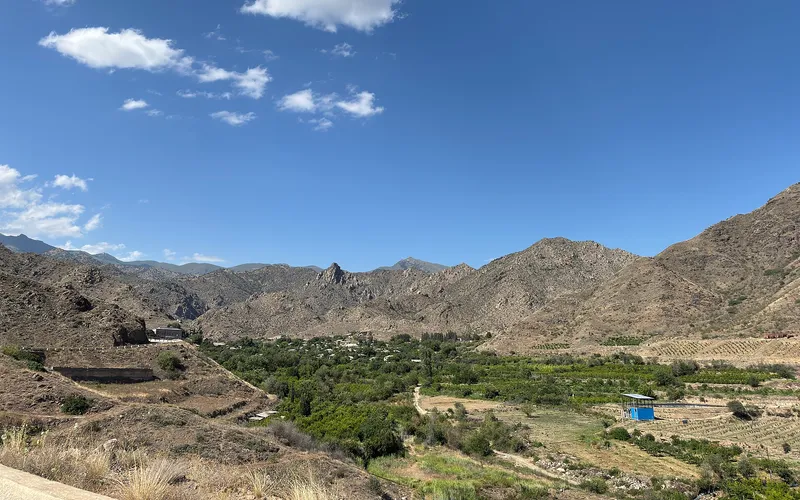 Ալվանք — фото 4