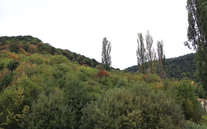 Ծաղկաձոր — фото 5