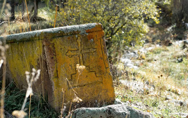 Եղիպատրուշ — фото 4