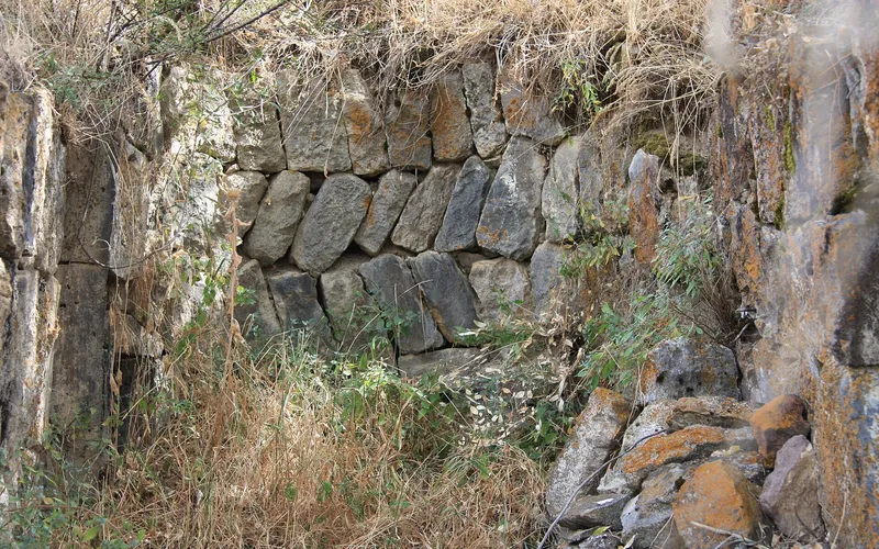 Սալլի — фото 1