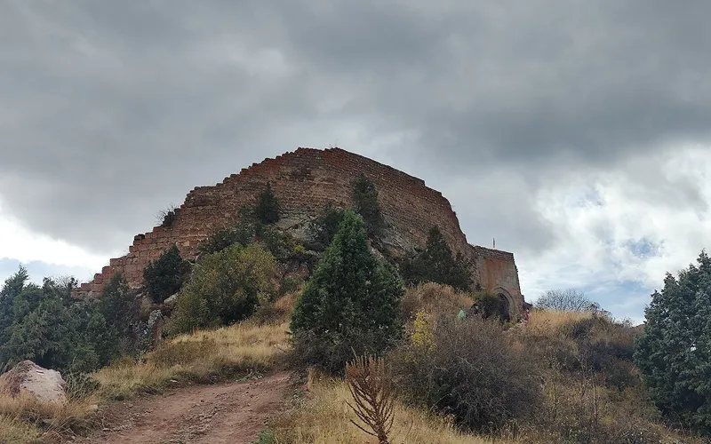 Արտաբույնք — фото 1