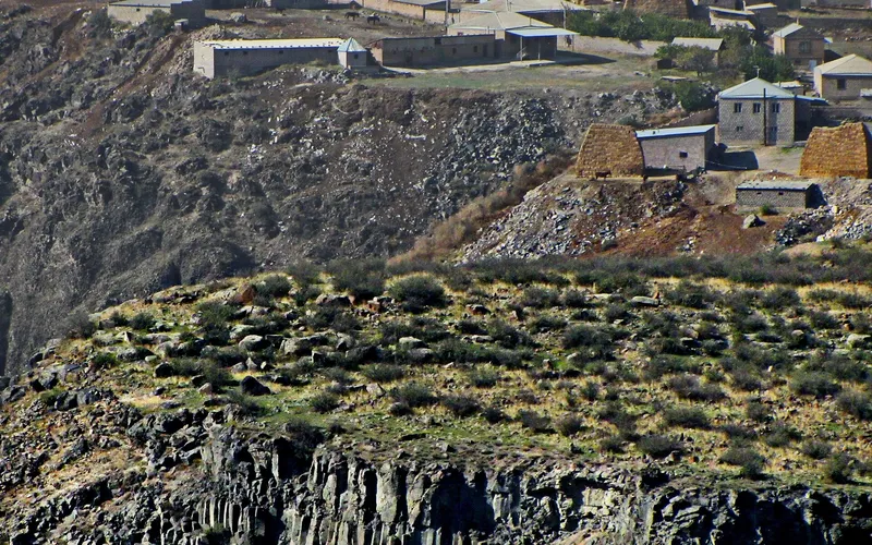 Զովունի — фото 3