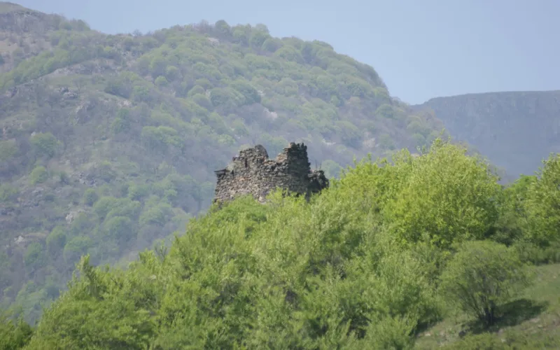 Կաճաճկուտ — фото 2