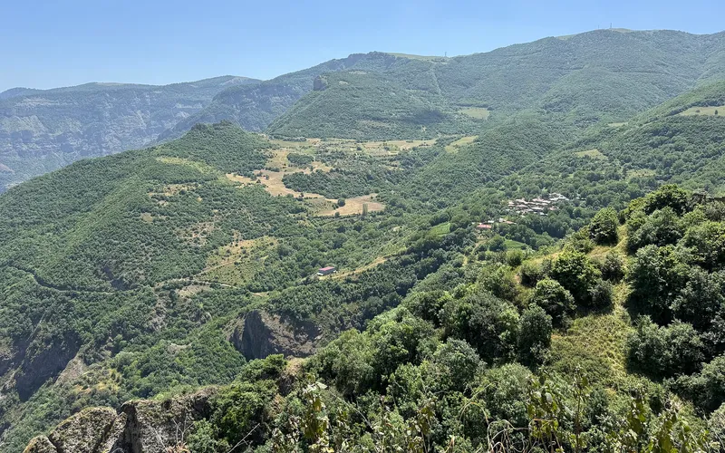 Տանձատափ — фото 2