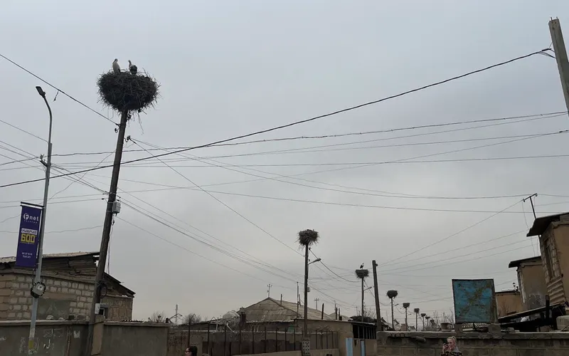 Սուրենավան — фото 1