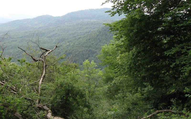 Գանձաքար — фото 1