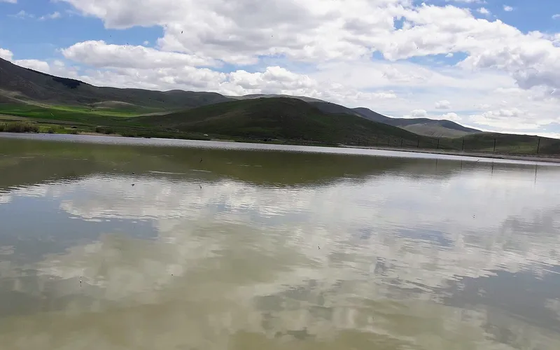 Ջաջուռ — фото 4