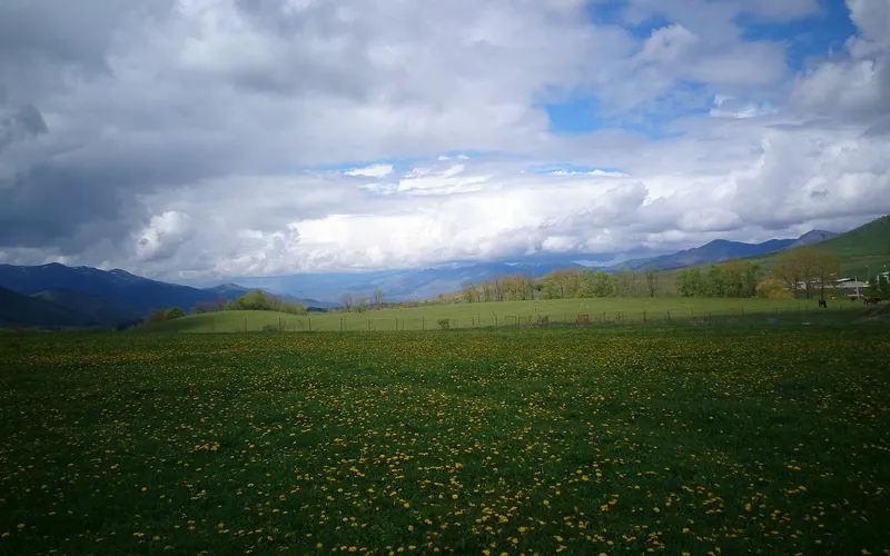 Լերմոնտովո — фото 5