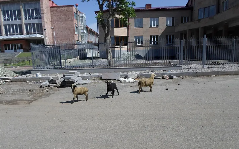Աշոցք — фото 3