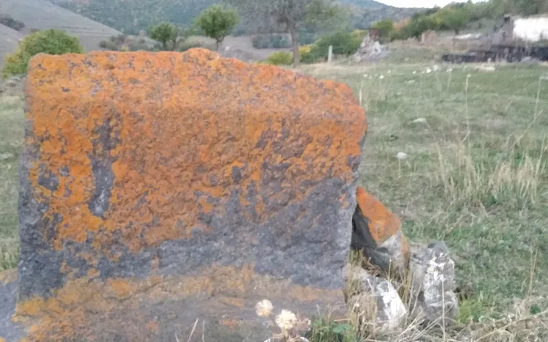 Արջուտ — фото 3