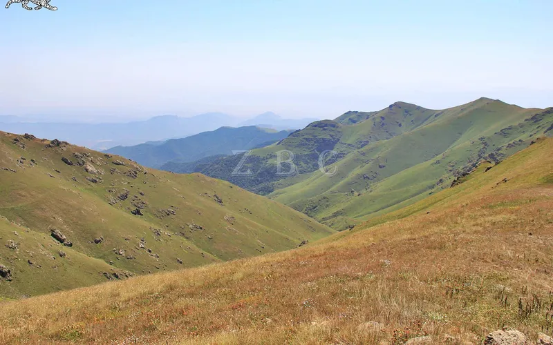 Շիկահող — фото 4