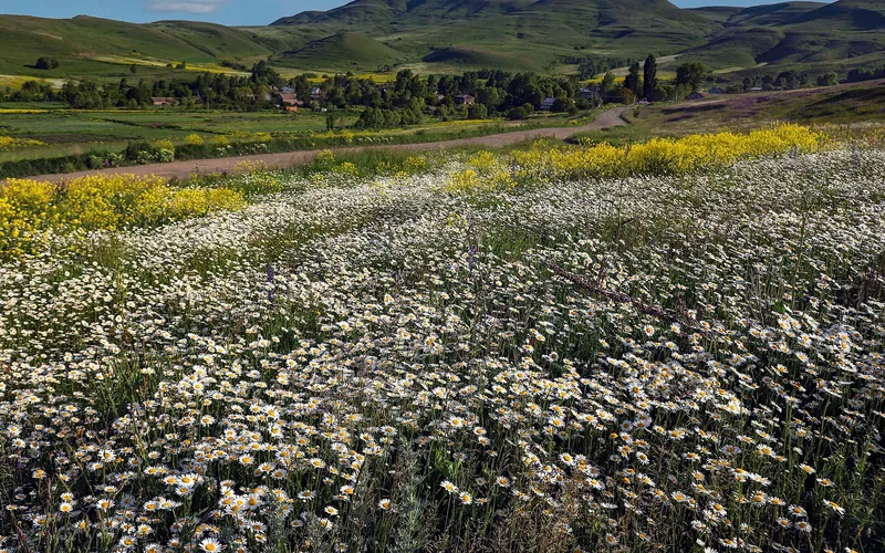 Խնկոյան — фото 2
