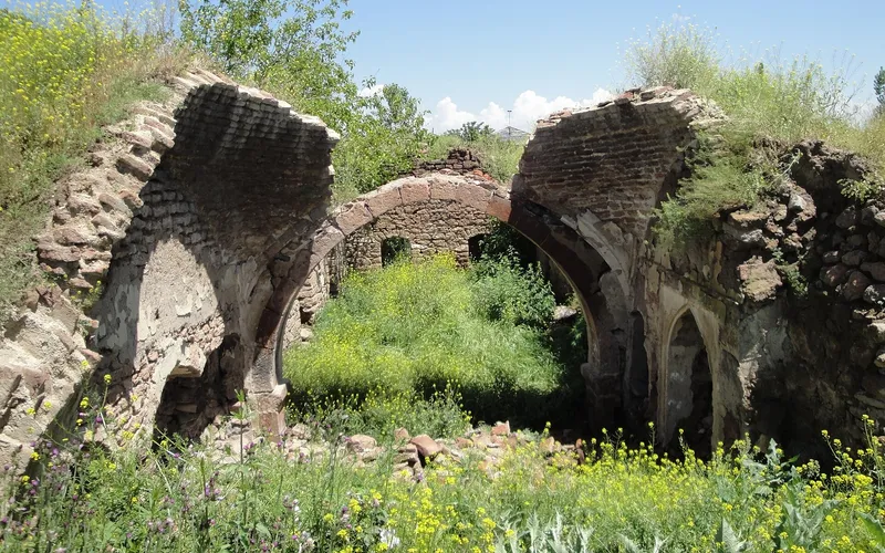 Ագարակ — фото 1