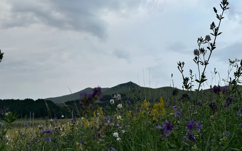 Ապարան — фото 1