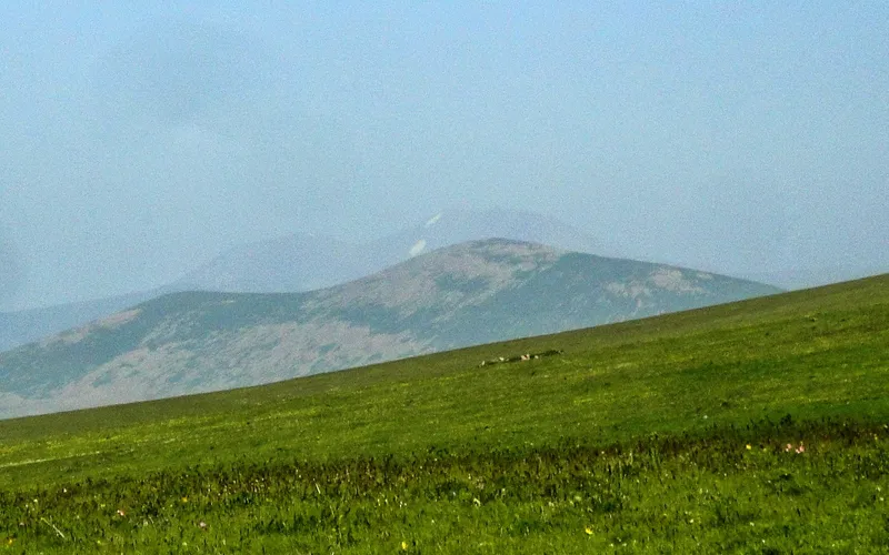 Ղազանչի — фото 1