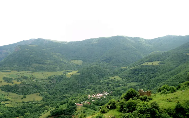 Տանձատափ — фото 4