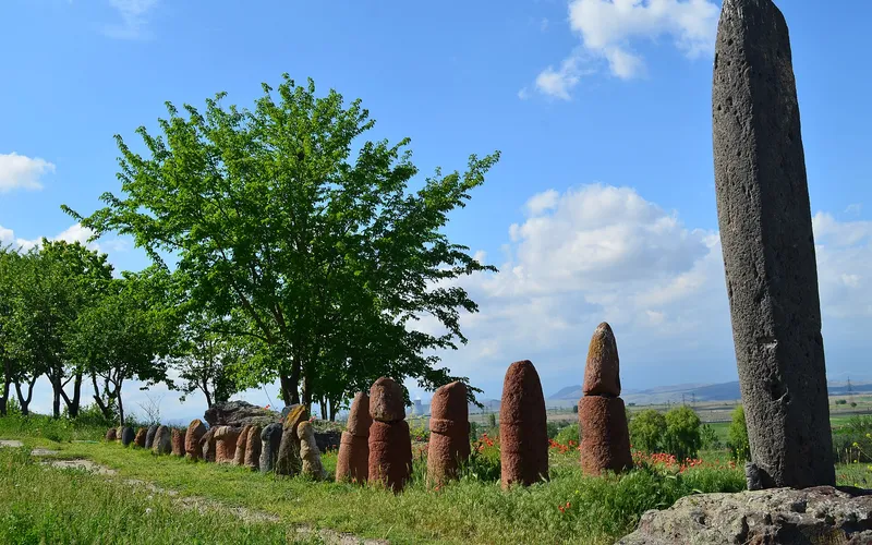 Տարոնիկ — фото 1
