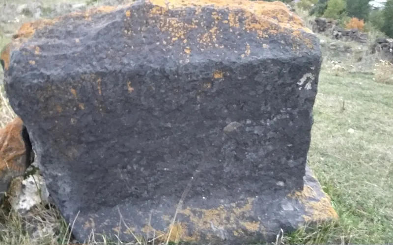 Արջուտ — фото 2