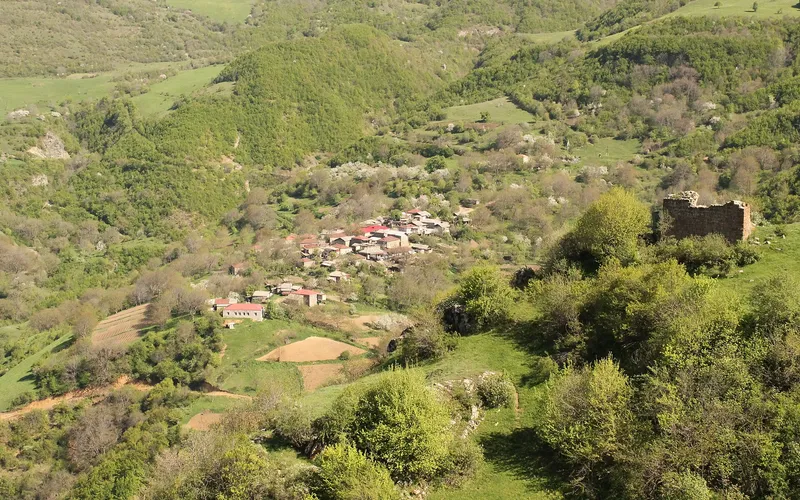 Տանձատափ — фото 3