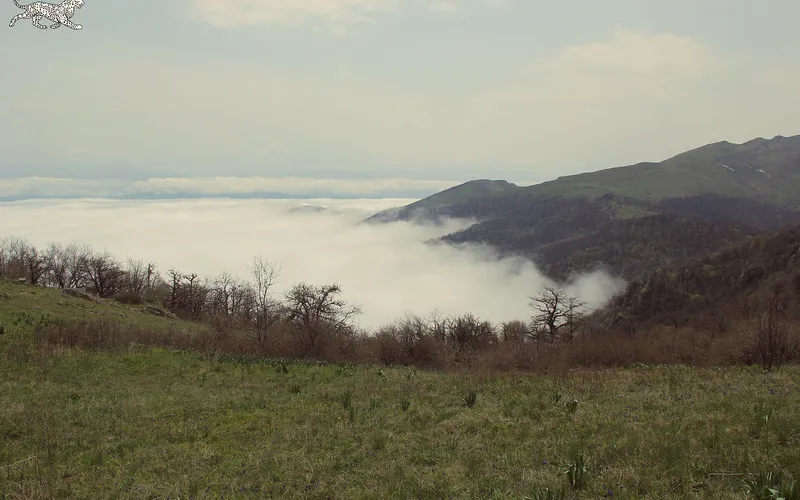 Շիկահող — фото 2