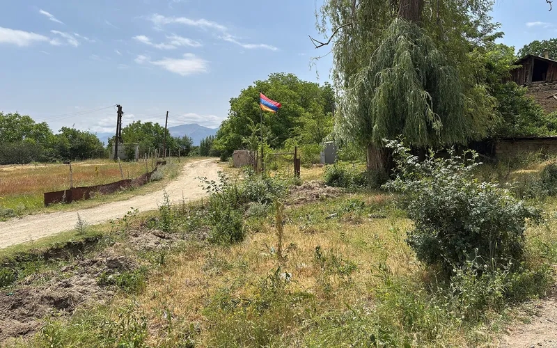 Կուրիս — фото 2
