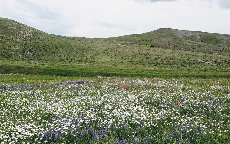 Կարմաքար — фото 2