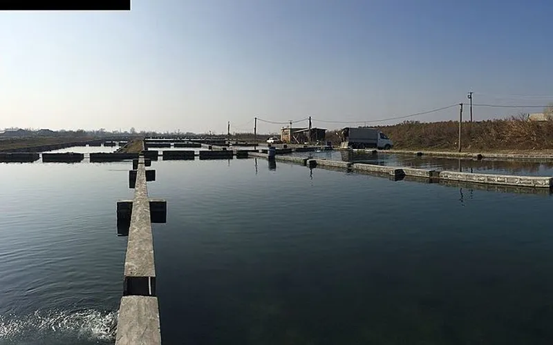 Հայանիստ — фото 2