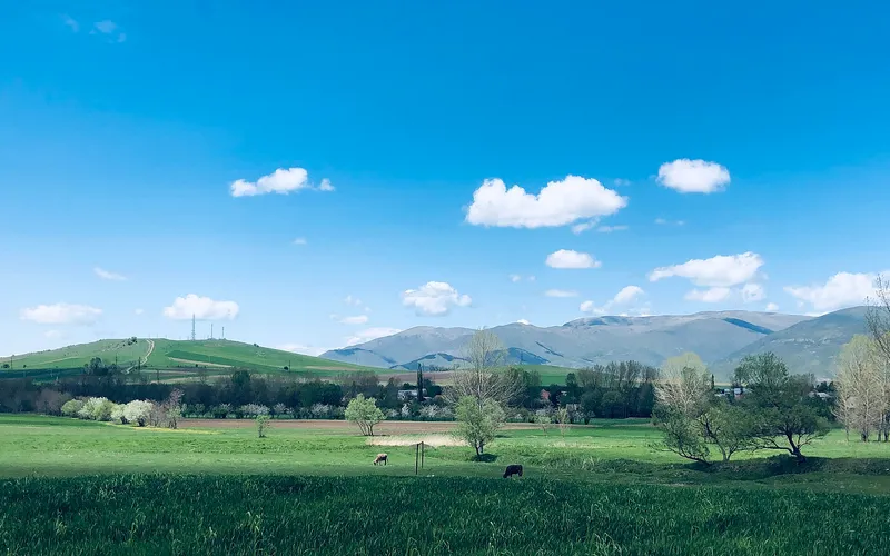 Վարդաբլուր — фото 1