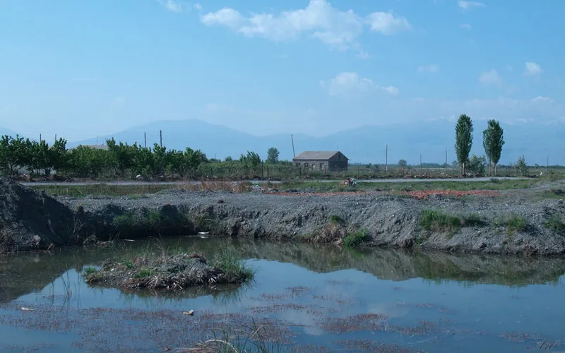 Տանձուտ — фото 3