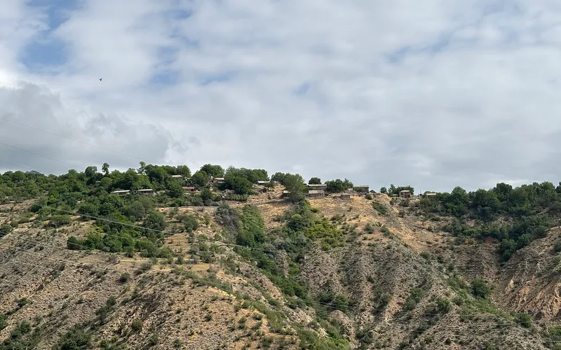 Կուրիս — фото 1
