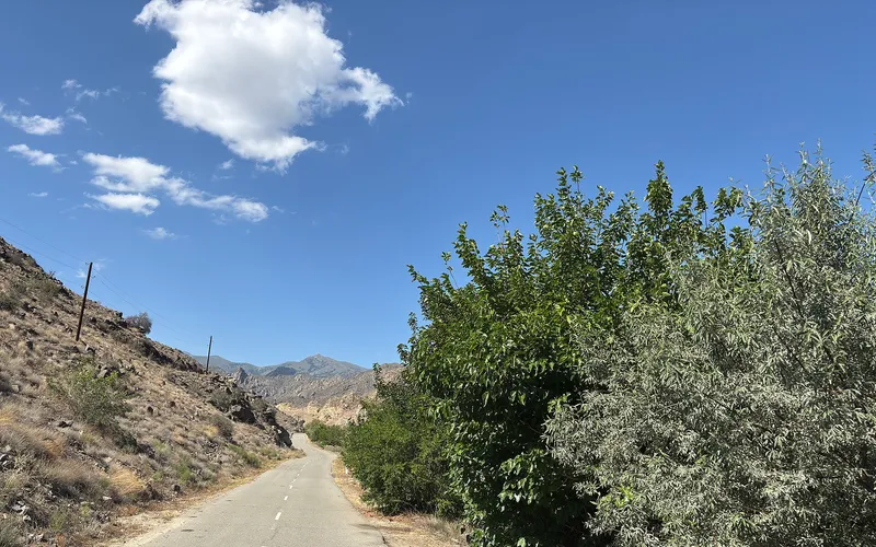Ալվանք — фото 2