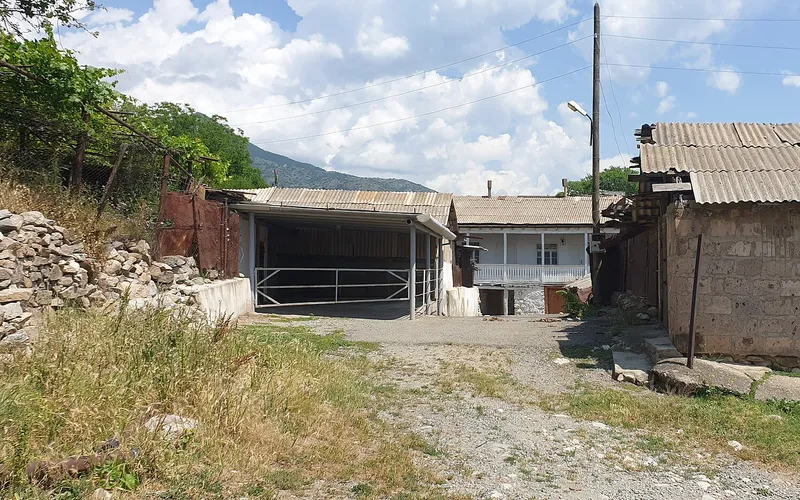 Կուրիս — фото 3