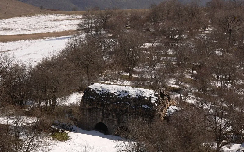 Արծվանիկ — фото 1