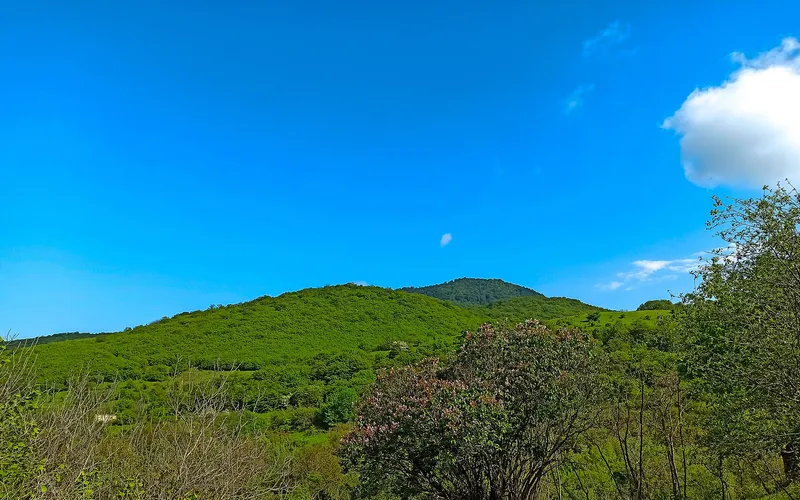 Ոսկեպար — фото 4