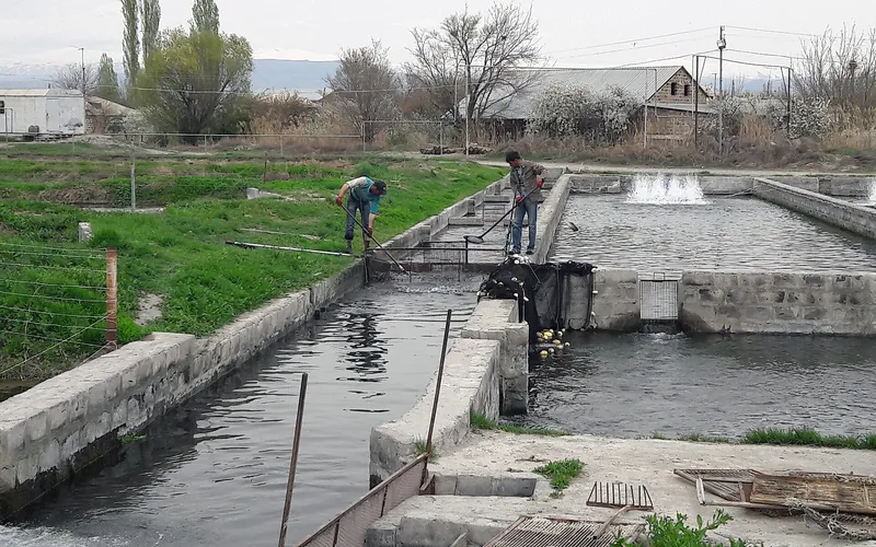 Հայանիստ — фото 4
