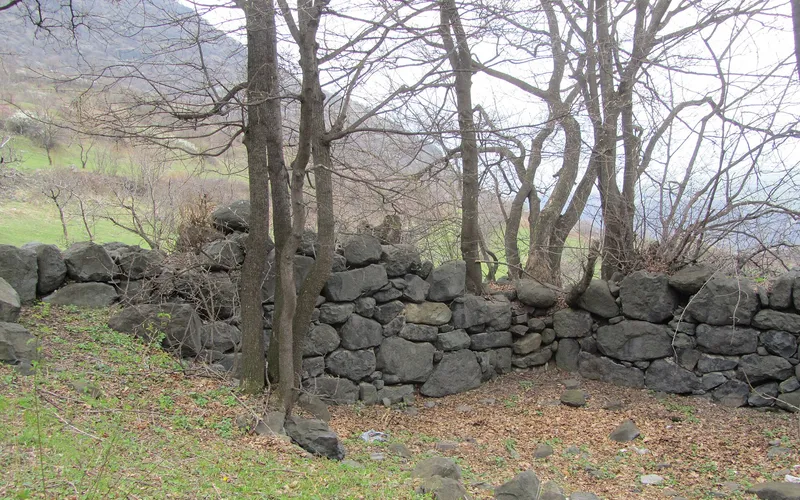 Կաճաճկուտ — фото 6