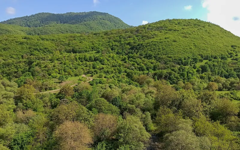 Ոսկեպար — фото 3