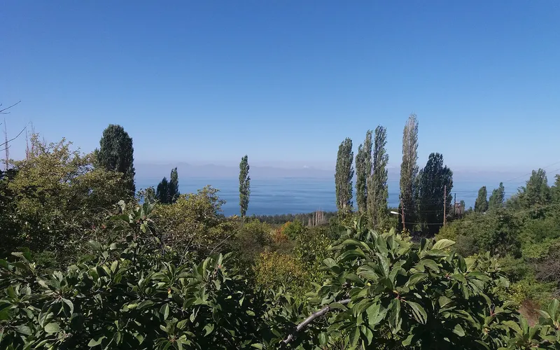 Ծափաթաղ — фото 1