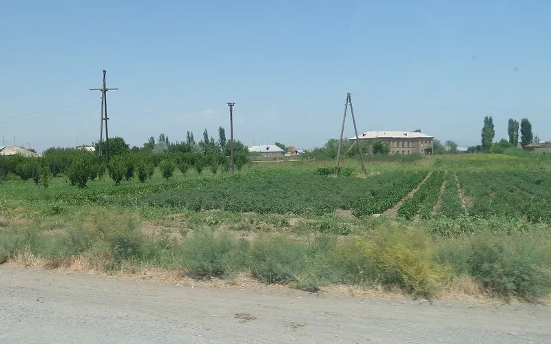 Լենուղի — фото 1