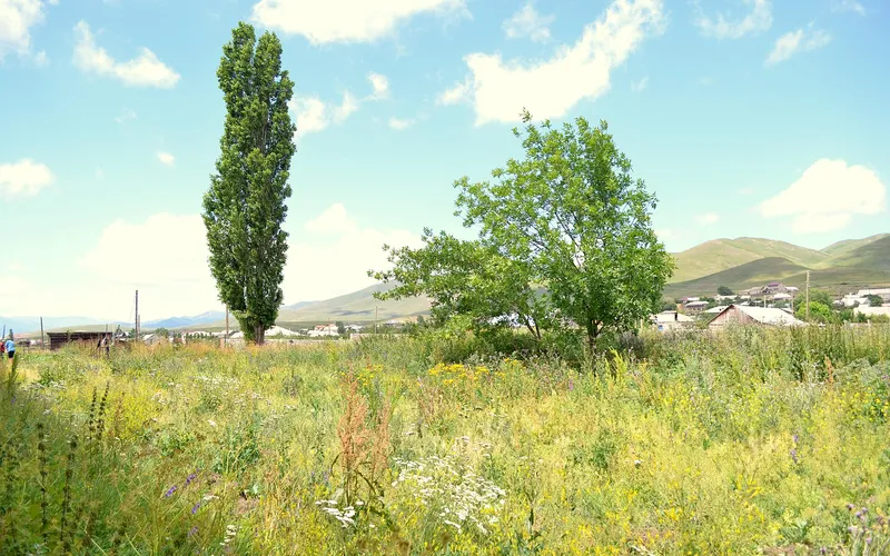 Ծաղկունք — фото 3