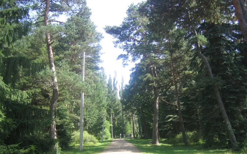Ստեփանավան — фото 4