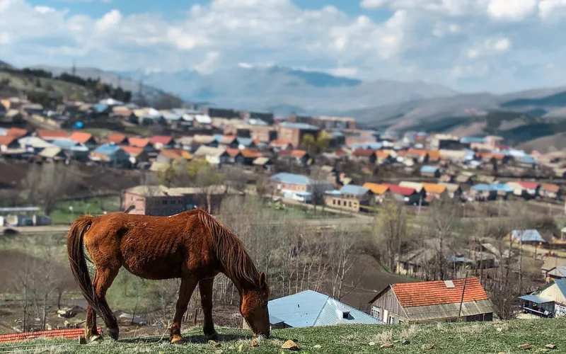 Ճամբարակ — фото 3