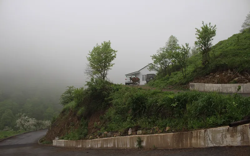 Դիլիջան — фото 4