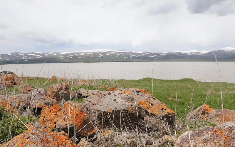 Աղվորիկ — фото 4