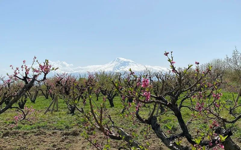 Աբովյան — фото 1