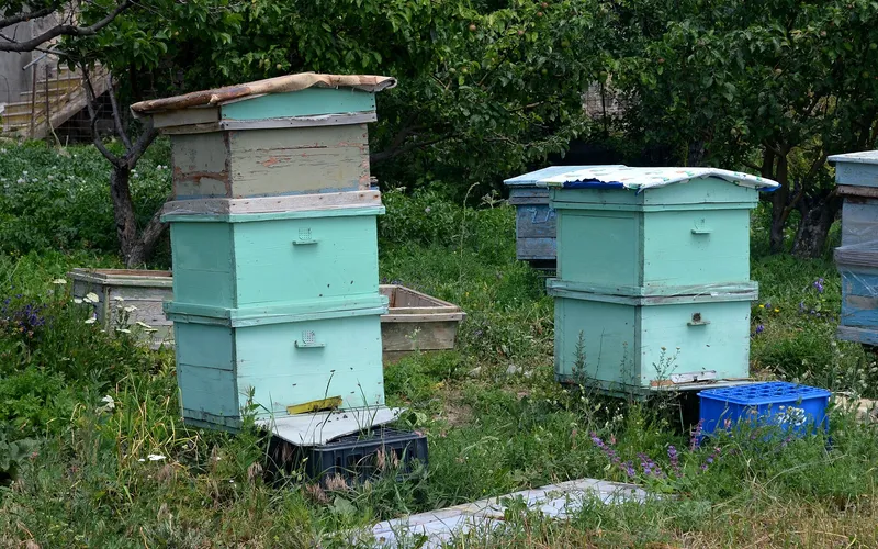 Ծաղկունք — фото 2