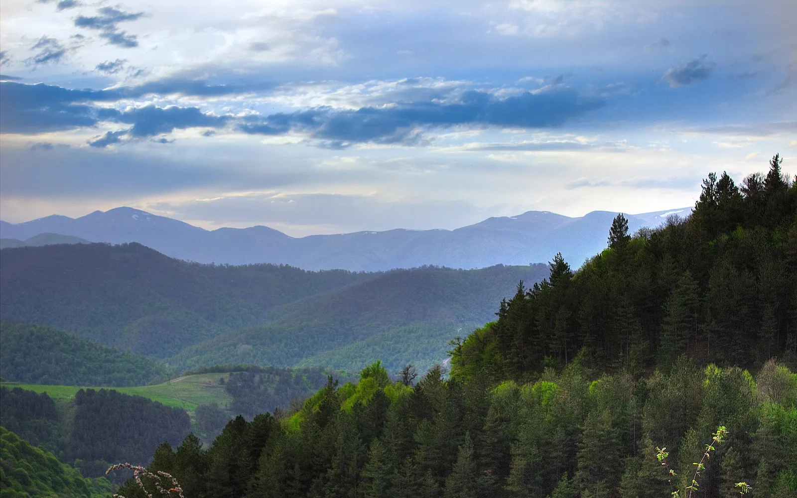 Դիլիջանի ազգային պարկ — Տավուշ
